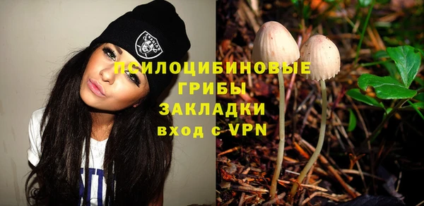 меф Каменск-Шахтинский
