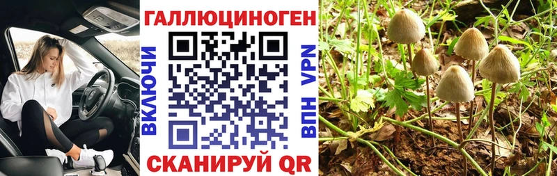 Галлюциногенные грибы мухоморы Спас-Деменск