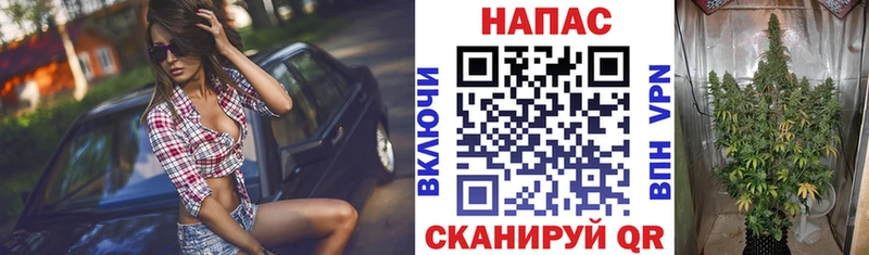МАРИХУАНА Amnesia  Спас-Деменск 